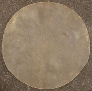 パキスタン産太鼓用水牛皮 Pakistan Buffalo Cow Skin