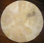 ヤギ皮 パキスタン Pakistan Goat Skin